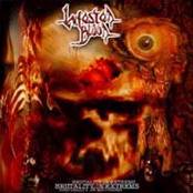 Infested Blood : Brutality In Extrems